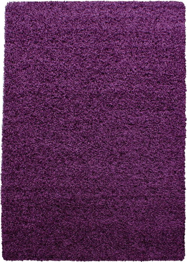 Tmavě fialový koberec 160x230 cm Life – Ayyildiz Carpets Ayyildiz Carpets