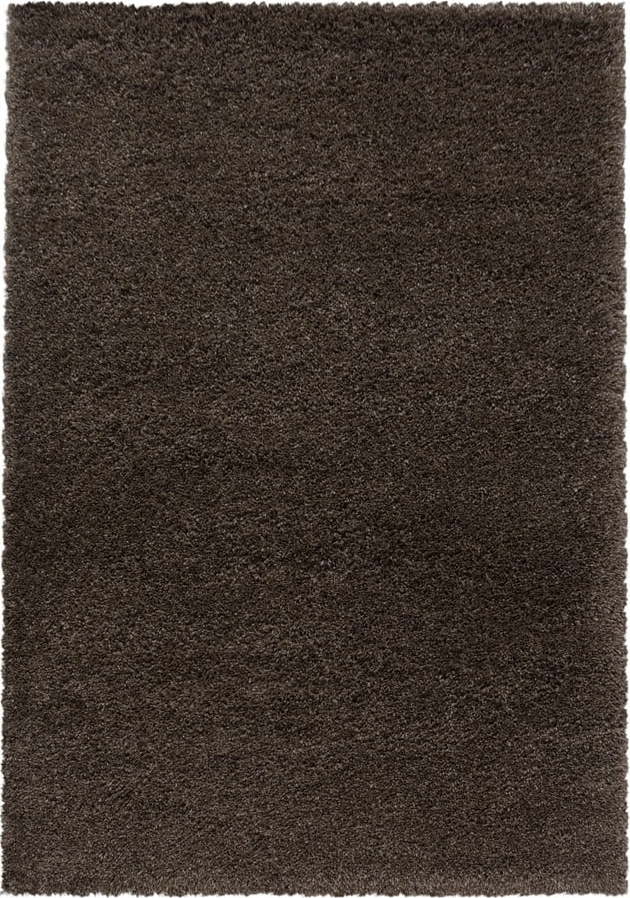 Tmavě hnědý koberec 120x170 cm Fluffy – Ayyildiz Carpets Ayyildiz Carpets